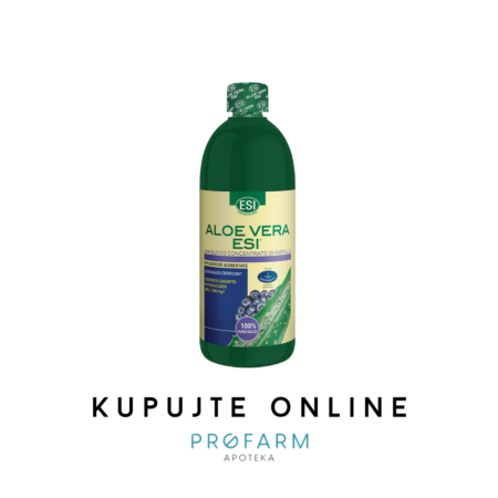 ESI Aloe vera borovnica 500ml